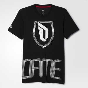 dam